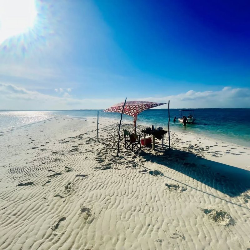 A Complete Guide to Mafia Island Marine Park Tanzania