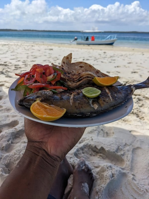 Top 10 Things to Do on Mafia Island Tanzania